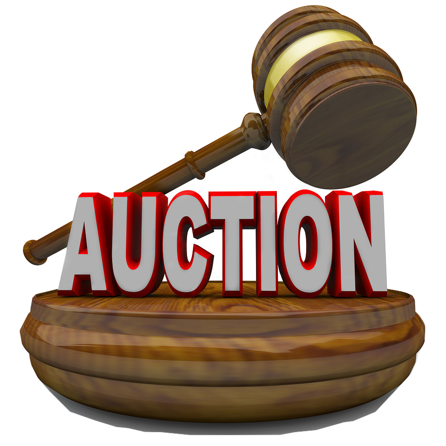 Unveiling the Natural Gem Rock Auction: Discover Authentic Sapphires and More!