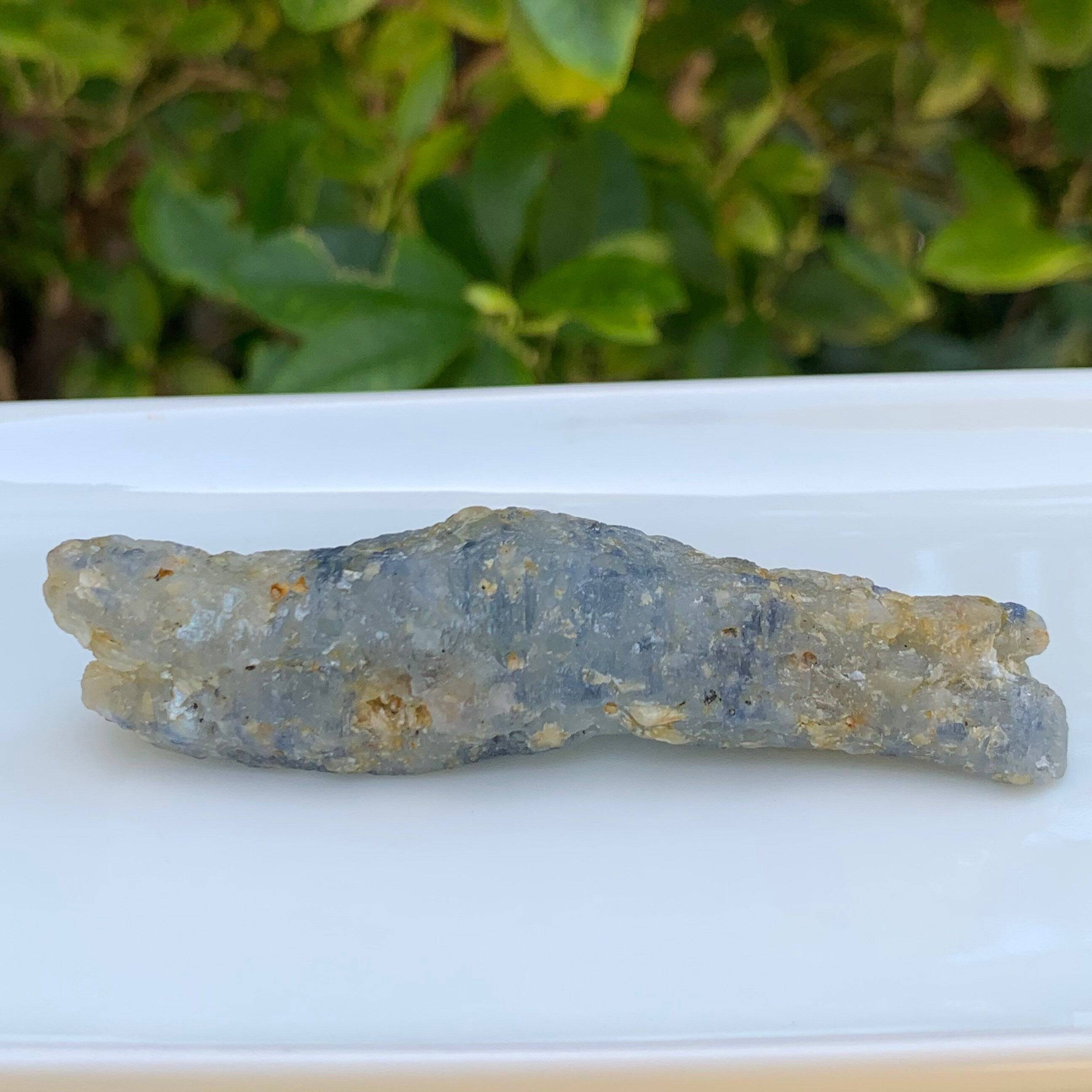 Sapphire 250 Cts Corundum Sapphire naturally formed crocodiles shape , Natural Sapphire Crystal , Jumbo Natural Crystals , Ceylon Sapphires - Baza Boutique 